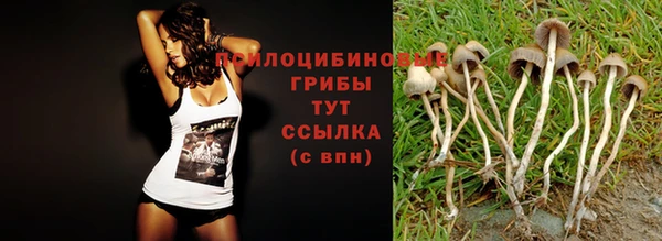 прущий лед Алексин